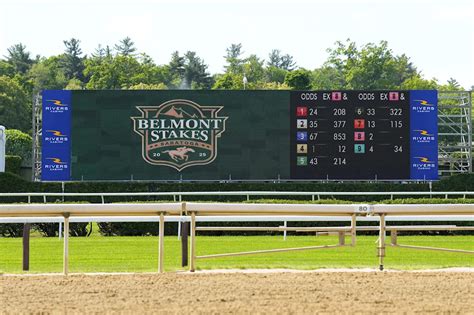 belmont picks today best bets.